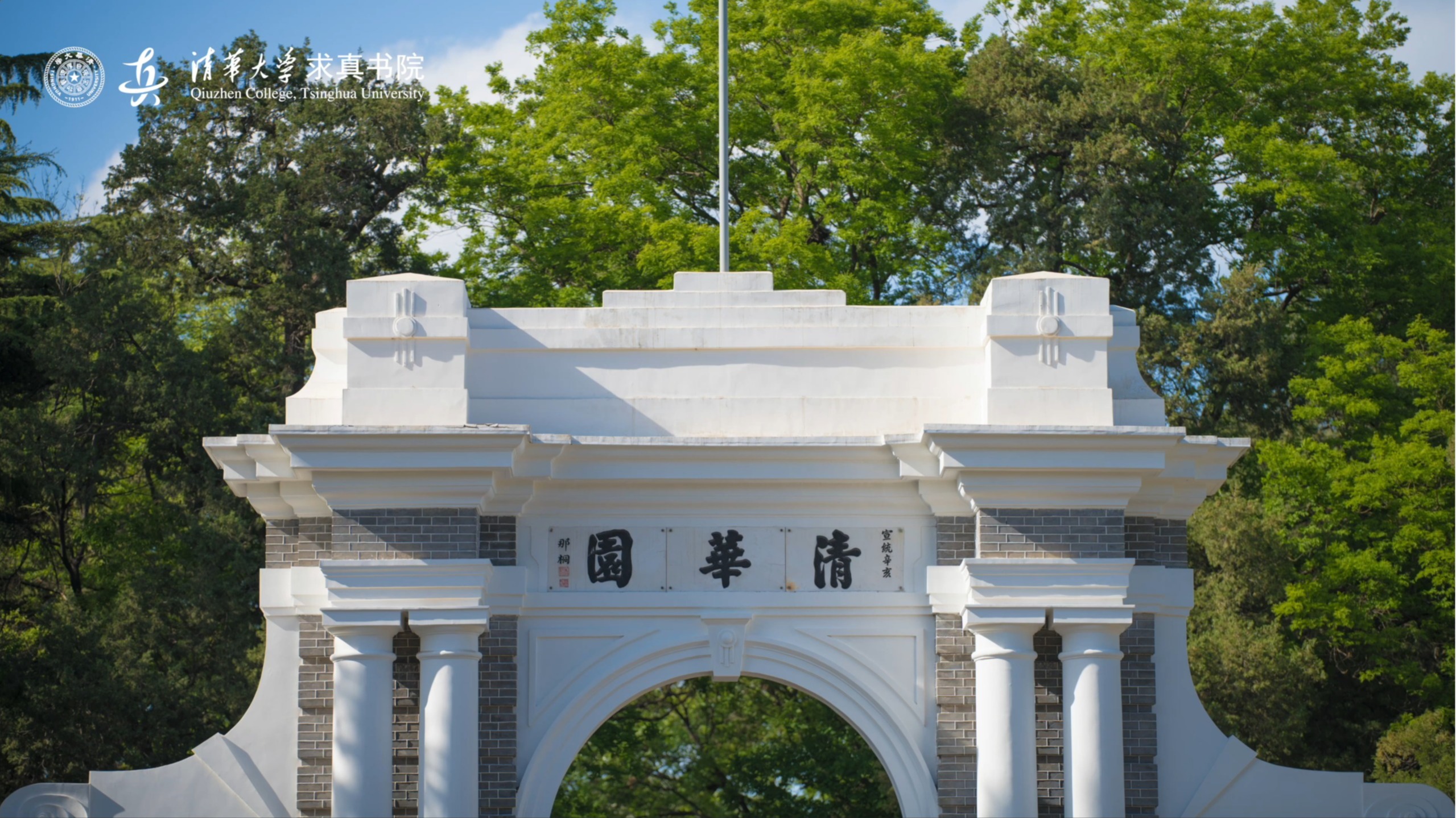 探花视频